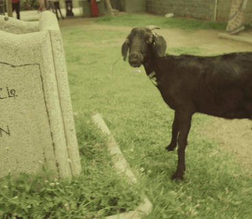 Chennai to Pondicherry — documentary-style branded content, 2013, directed by Skylar Nielsen for Vita Brevis Films