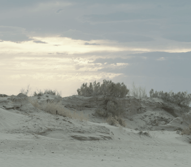 Gone South — behind the scenes, produced by Vita Brevis Films