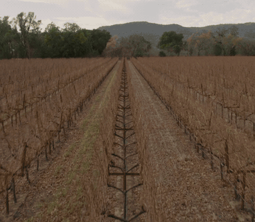 Vita Brevis Films Demo Reel — brand film, 2011–14, directed by Skylar Nielsen for Vita Brevis Films
